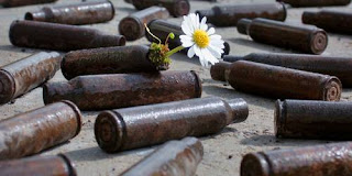 bullets-and-a-flower-not-gun-and-roses