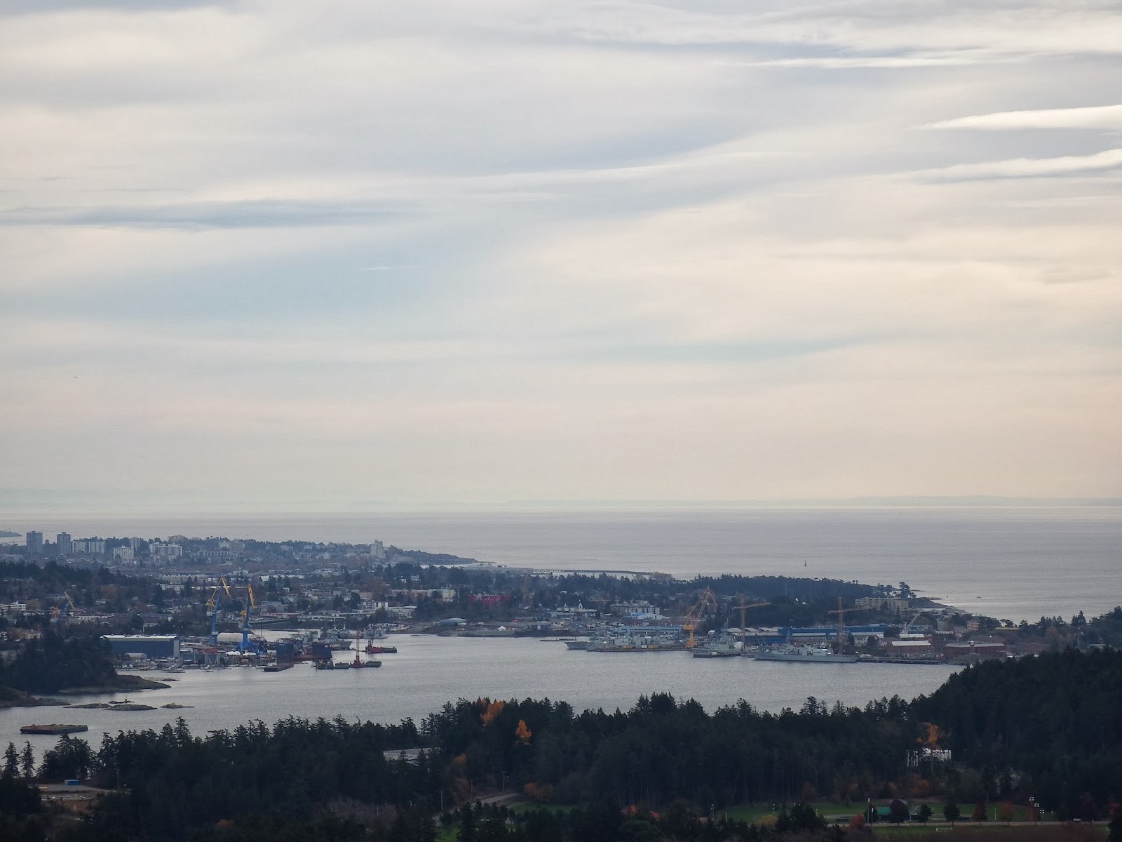 Wheelstogogo Travel Tales. Remembrance Day & A Hike up Mill Hill