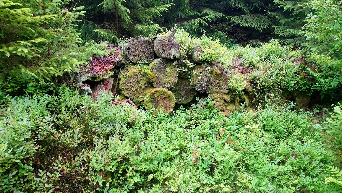 Center Parcs September 2015