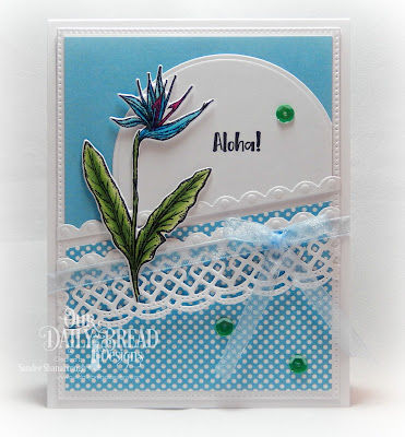Our Daily Bread Designs Stamp Set: Aloha, Custom Dies: Bird of Paradise, Pierced Rectangles, Circles, Bitty Borders, Beautiful Borders, Paper Collection: Boho Bolds