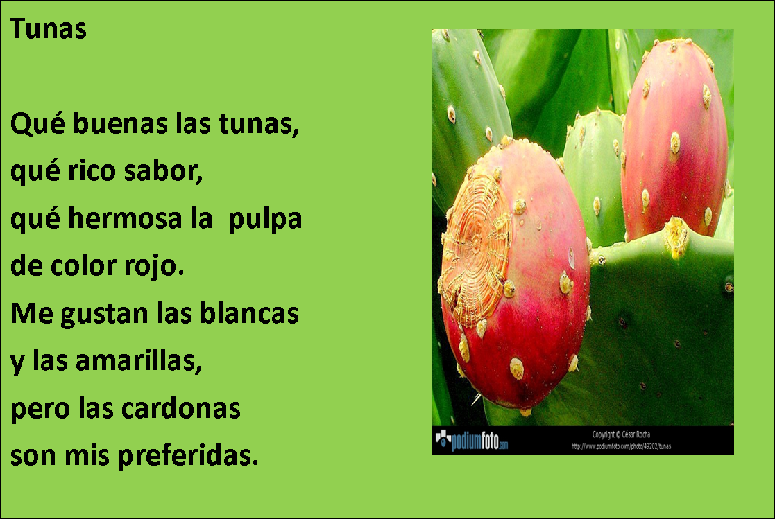 Pasitos al aprendizaje Tunas