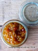 http://salzkorn.blogspot.fr/2014/08/das-curry-chutney.html