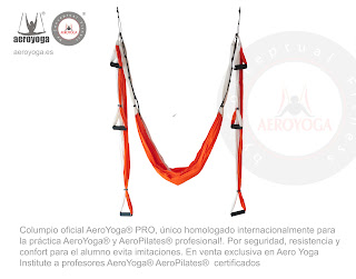 FORMACION PROFESORES AERO YOGA INSTITUTE, AUSTRALIA, SIDNEY, PERTH, UN METODO DE RAFAEL MARTINEZ, INTRODUCTOR DEL YOGA AEREO Y EL PILATES AEREO EN EUROPA Y AMERICA LATINA, SEMINARIOS, TALLERES, CLASES, CURSOS, ESPAÑA, PORTUGAL, MEXICO, ARGENTINA, PARAGUAY, BRASIL, CHILE, PERU, COLOMBIA, COSTA RICA, PANAMA