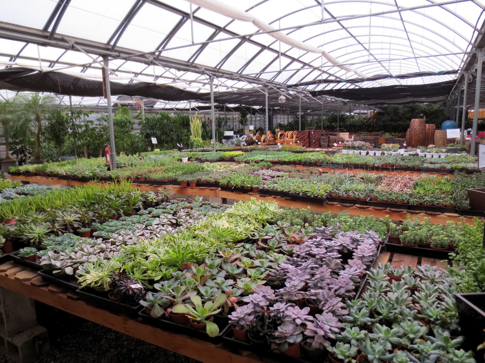 Late to the Garden Party: November 2013