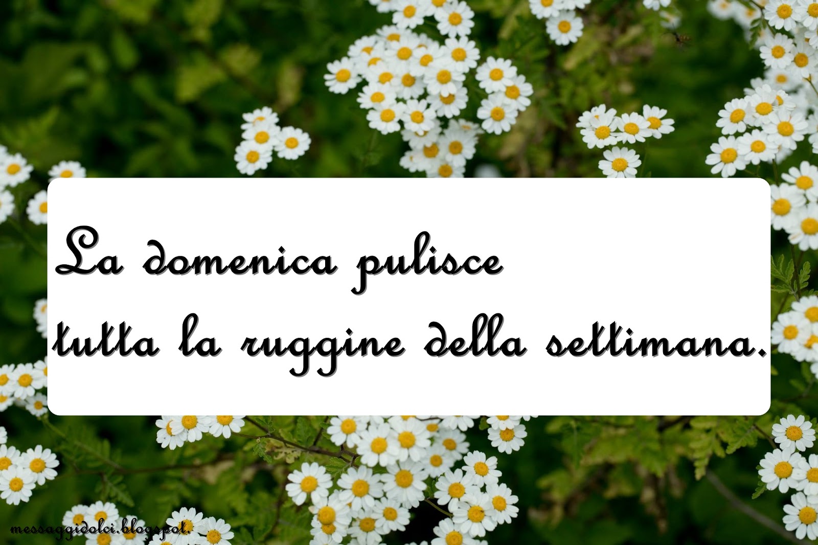 Immagini Buona Domenica Sera