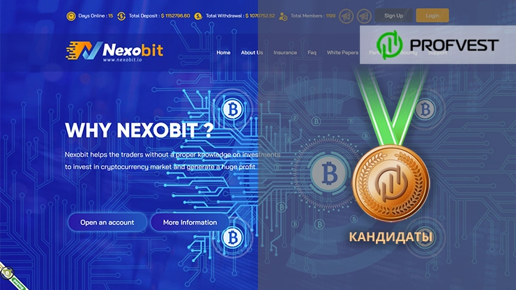 Повышение в кандидаты проекта Nexobit Повышение в кандидаты Nexobit
