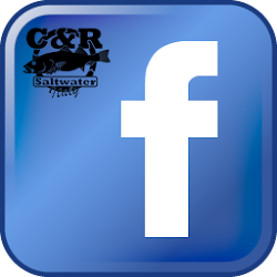 Segui C&R Saltwater su Facebook