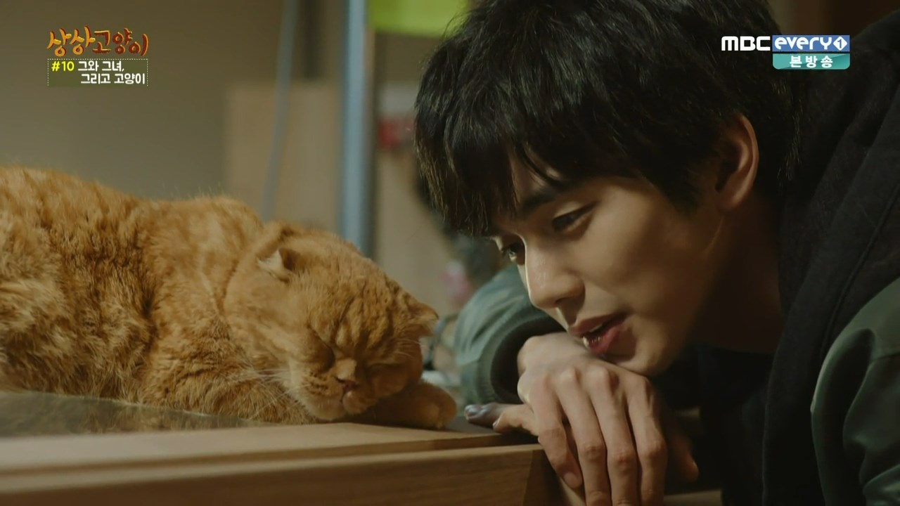 Anny's world Imaginary cat (korean drama)