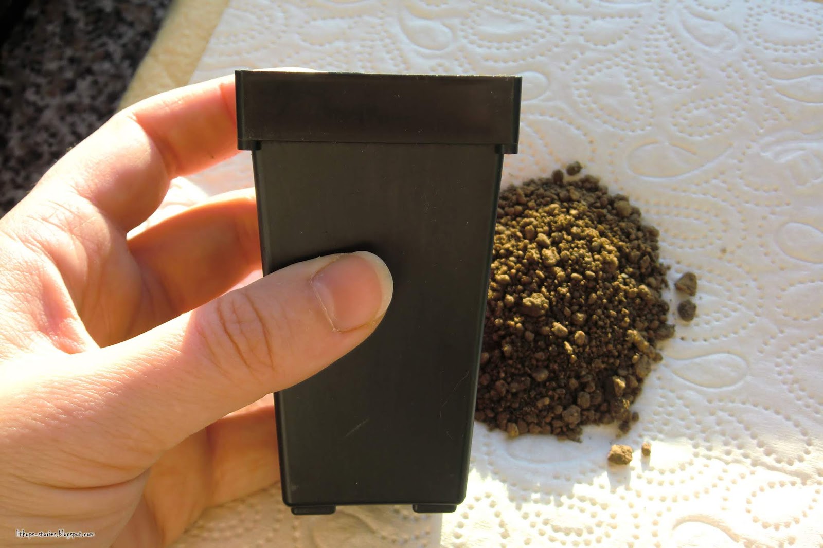 Lithops Stories Lithops Cultivation Guide