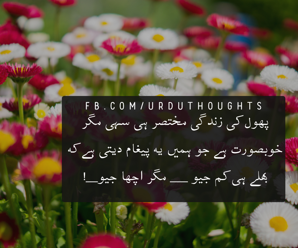 Famous Urdu Quotes About Life Hope and People Urdu Thoughts