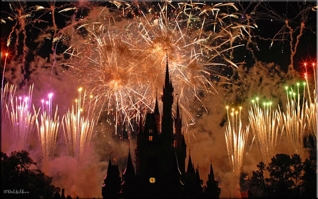 Wishes, Disney Fireworks, Magic Kingdom, Focused on the Magic