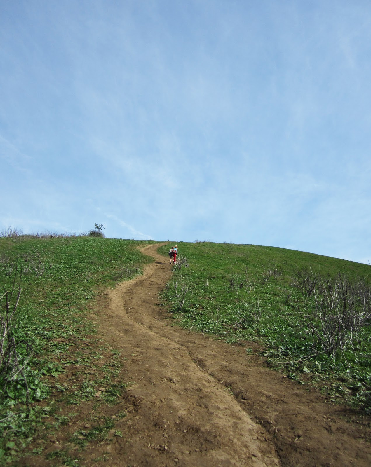 Lilly and the brothers Of Trees and Trails Hellman Wilderness Park