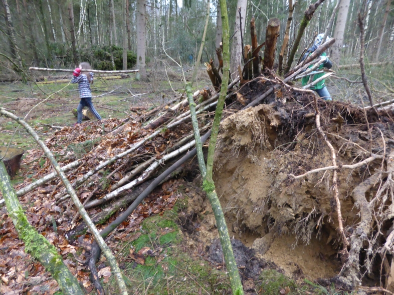 Verwonderlijk Bosvriendjes IVN-EDE: 24 januari Woudlopers bouwen nieuwe hut IR-26