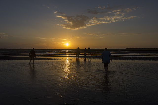 Langeoog, Watt, Nordsee, Ostfriesland, Wattwanderung, Ossi, Wattenmeer, Weltnaturerbe, 