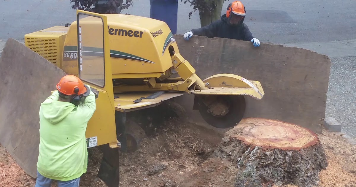 Brads Stump and Tree Service Arlington, Washington Professional
