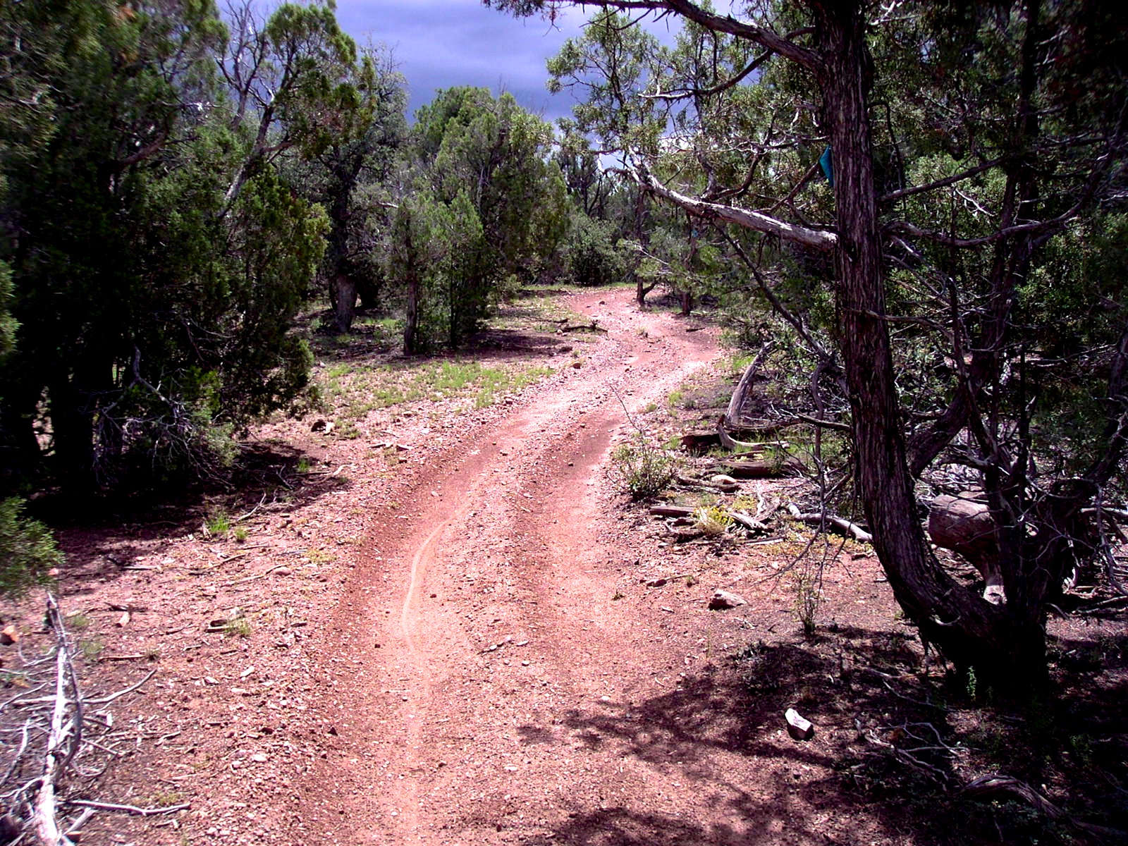 coyote hills regional park bike trail