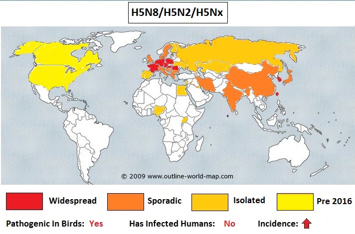 Распространение птичьего гриппа. Птичий грипп карта. Карта распространение птичьего гриппа в мире. Распространение гриппа птиц. Карта распространения птичьего гриппа в России.