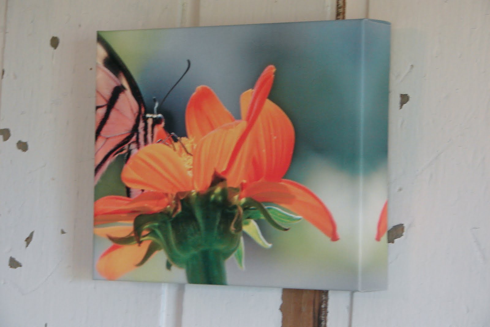 COSMOGIRL'S EMPORIUM EASY CANVAS PRINTS A PRODUCT REVIEW