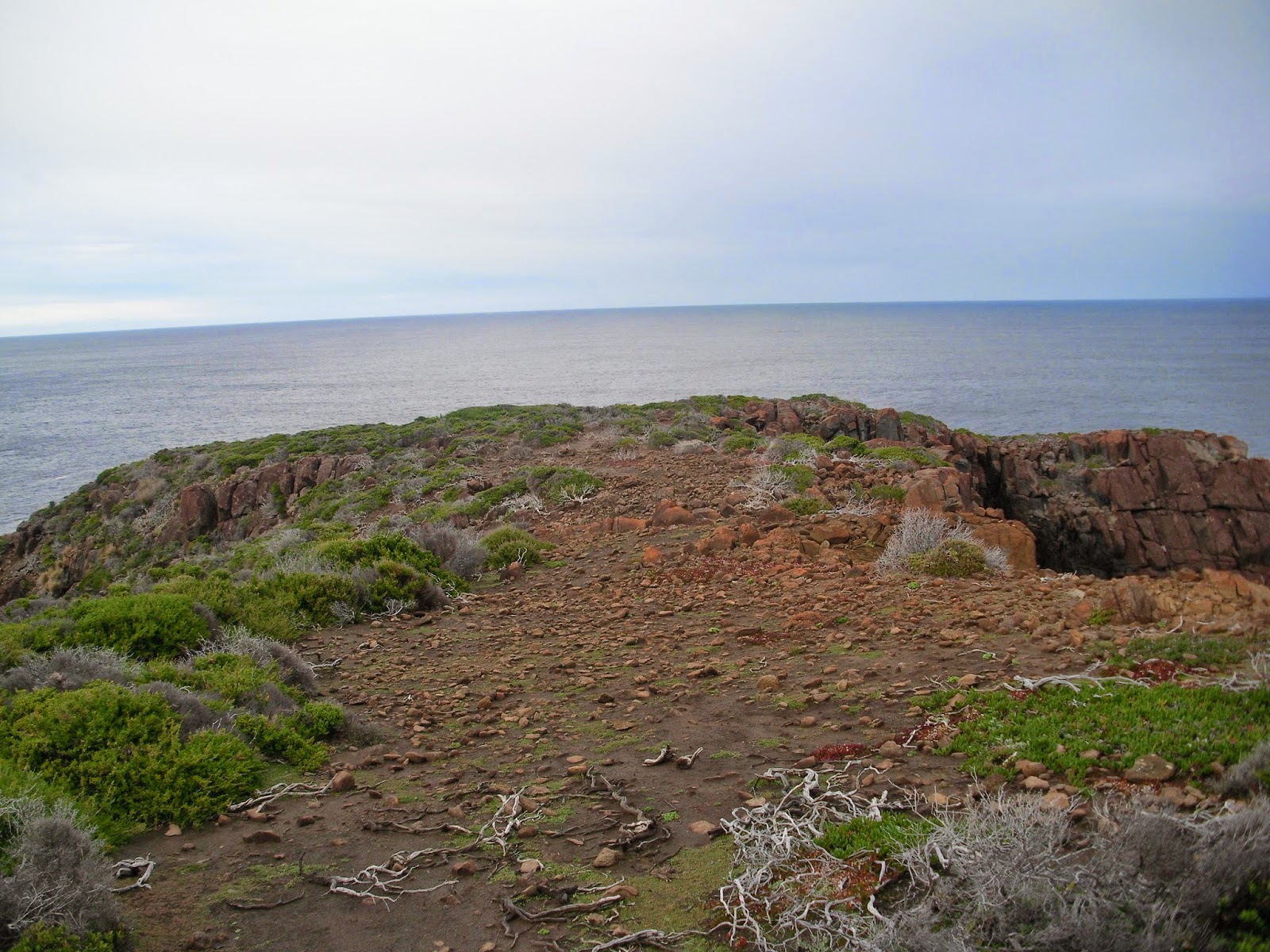 Salters Point Hiking South East Tasmania