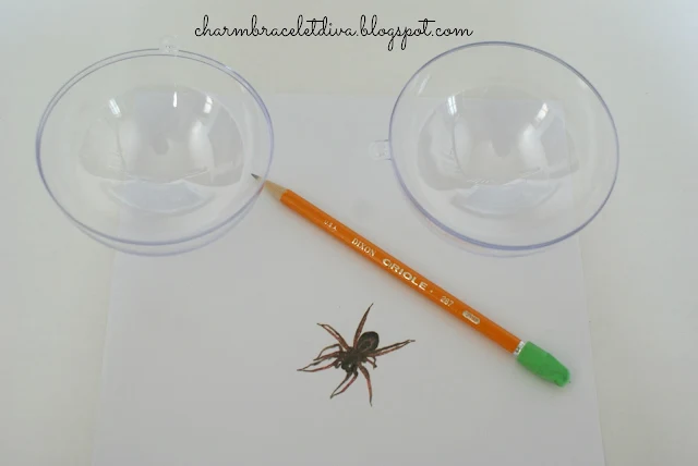 clear plastic globe plastic spider pencil