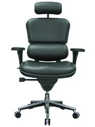 Ergohuman Chair Ergohuman Chair