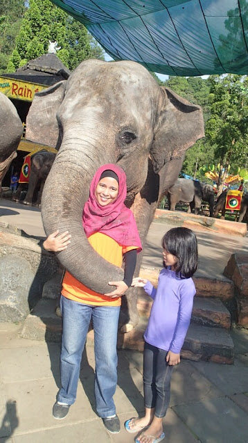 Safari Lodge Caravan dan Bermain di Taman Safari Indonesia Masih tentang cerita menginap di Safari Lodge Caravan dan Taman Safari Indonesia