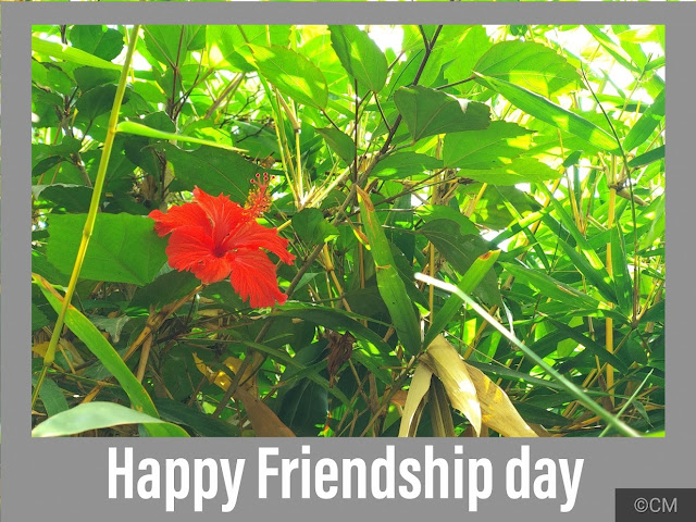 Friendship day wishes