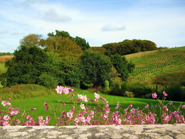 CUT and DRY : What Else? + Have a Lovely Spring Weekend