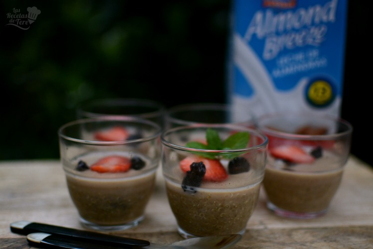 postre-leche-almendras-quinoa-miel-04