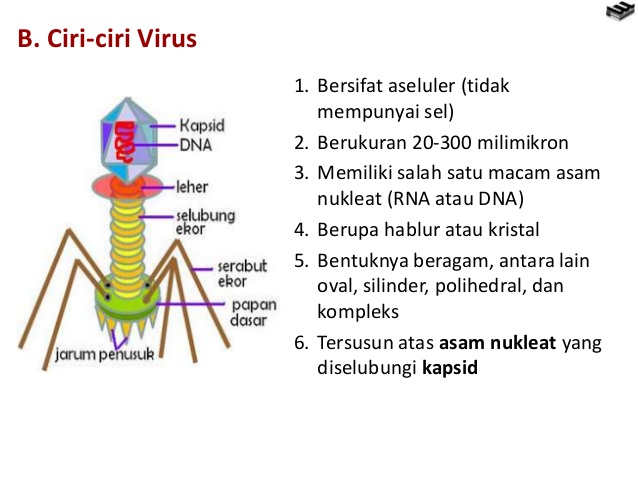 Rangkuman Biologi Kelas X - Virus, Sejarah Virus, Ciri-ciri Virus