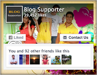 facebook social widgets Facebook Like Box Style 5