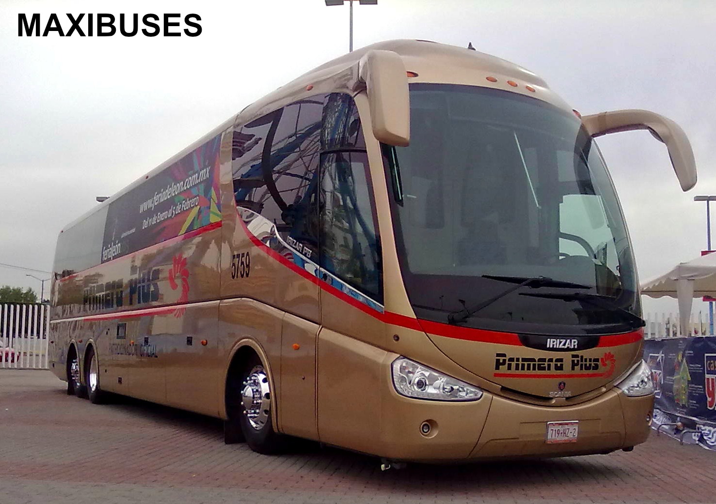 MAXIBUSES PRIMERA PLUS