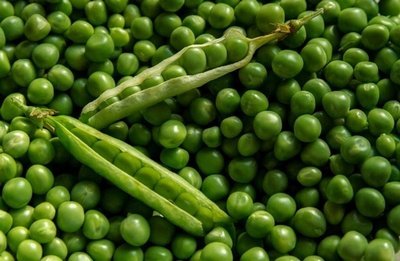 Kacang Polong Kacang Polong