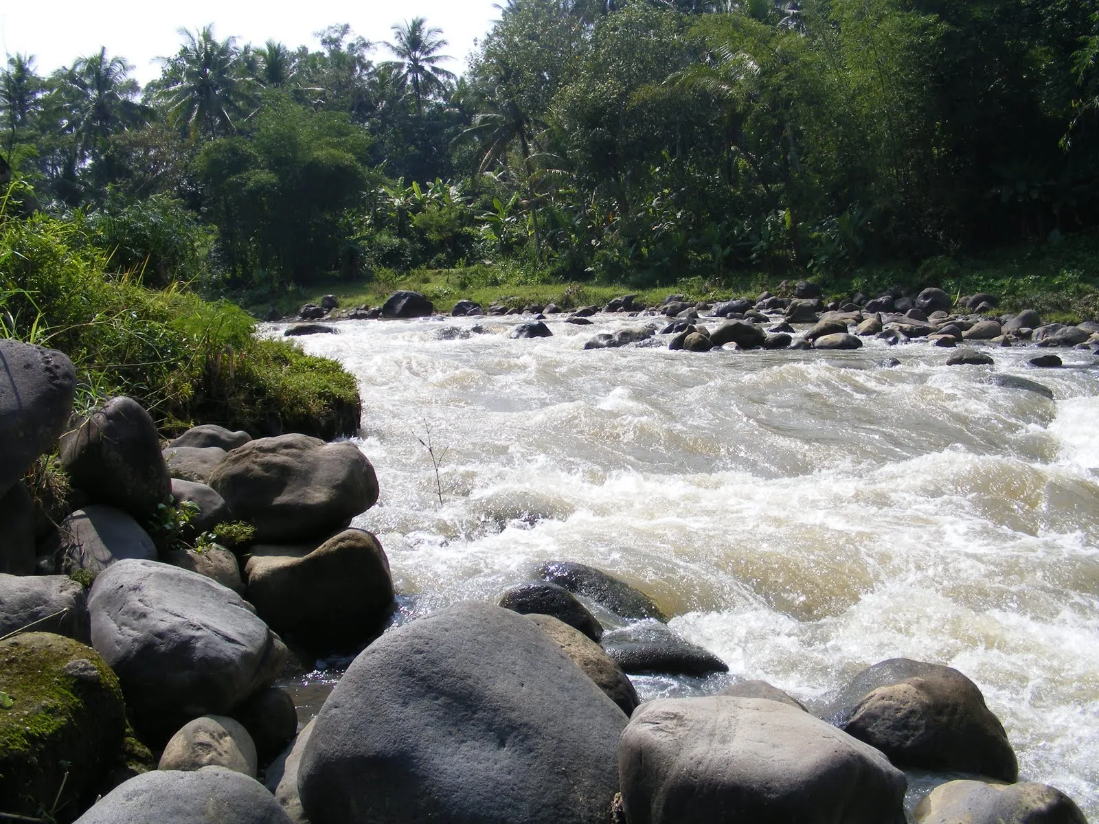 Sungai Baung Oki wisata alam yang menakjubkan di Kalimantan Timur