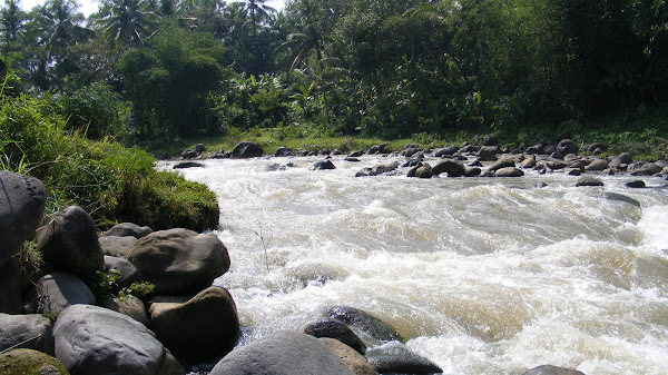 Sungai Baung Oki Wisata Alam yang Menakjubkan di Kalimantan Timur