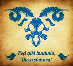 Diren Ankara!