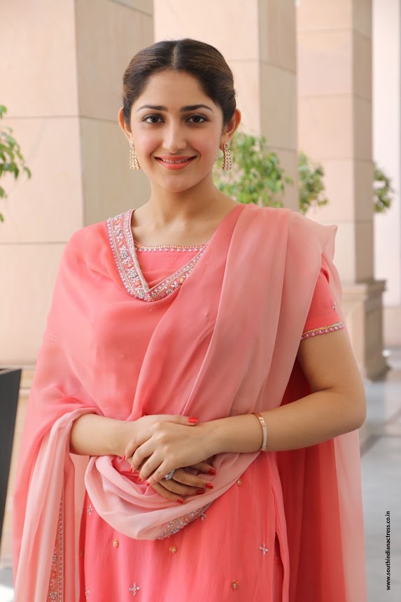 Sayyeshaa Saigal at Kadaikutty Singam Success Meet
