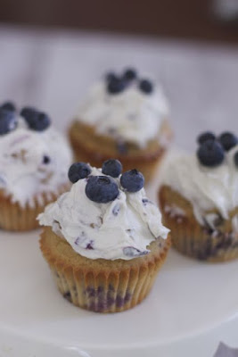 Blueberry Cupcake For Dogs