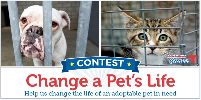 Deals 1800 Pet Med Coupon Code Deals Petmeds 1800 Pet Meds Promo