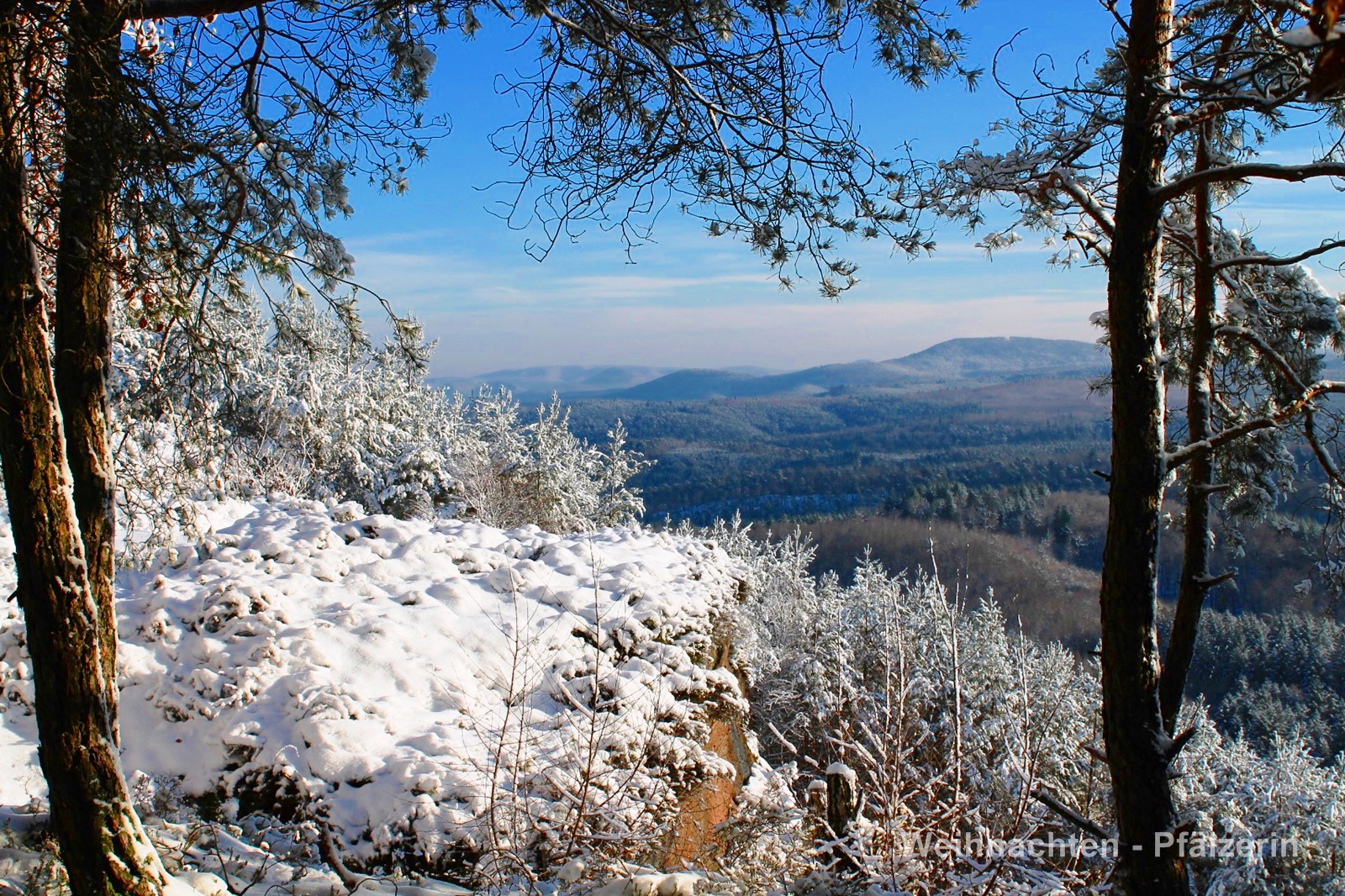 Freude Am Garten Markt Und Strassen Stehn Verlassen