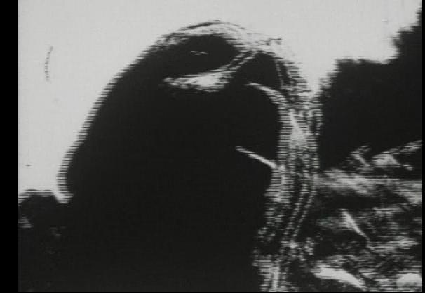 Filme Begotten Cultura do Metal Negro: BEGOTTEN
