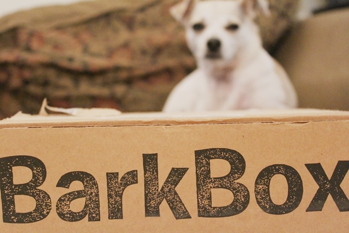 Barkbox birthday Clearance