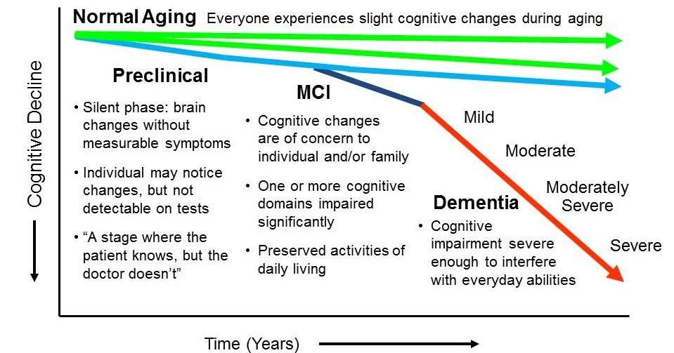 The Mummy Dementia Blog: What is Severe Cognitive Impairment?