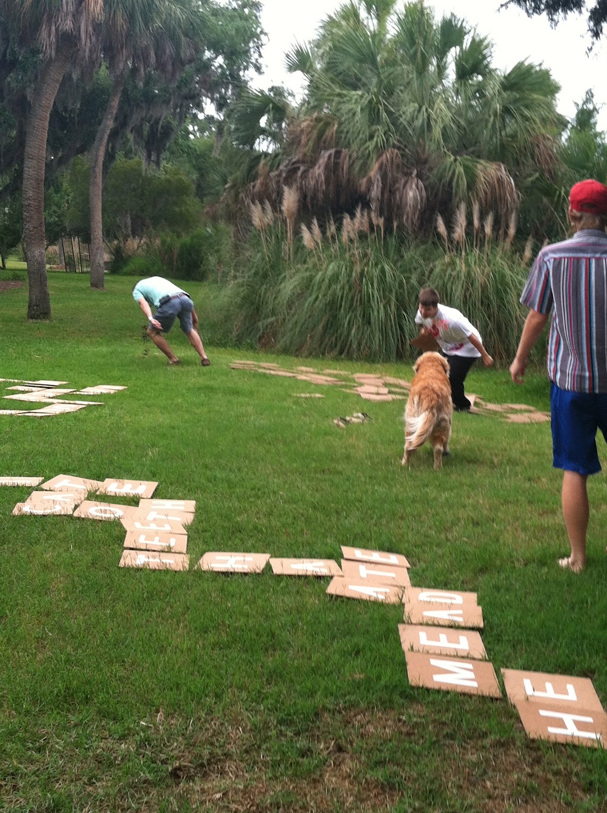 A group of people in a park