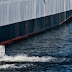 Ballast Water Management (BWM) Convention