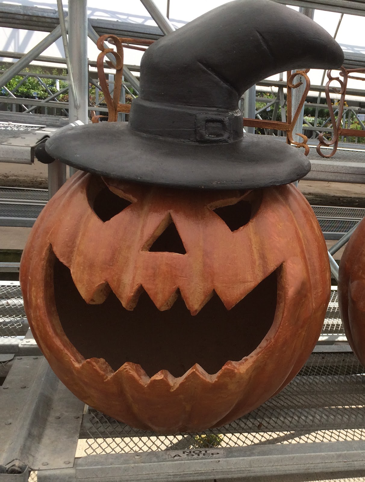 Calamitous Botanicus September 2016