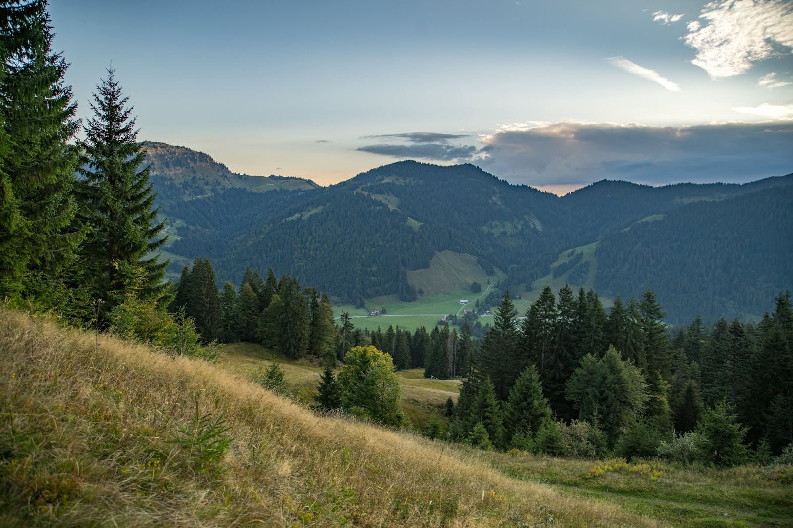 Karpfenangeln