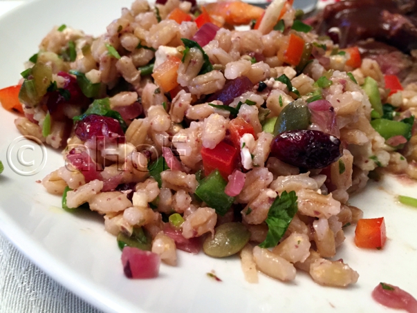 Barley, Salad, Fermented Red Onion, side dish