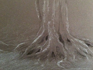 Step 1 Charcoal sketching of exposed roots of a tree by Manju Panchal