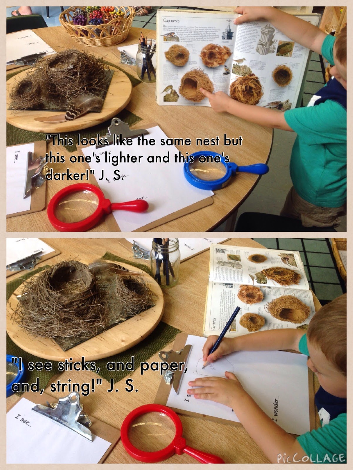 Wonders in Kindergarten: Bats have fur, birds have feathers! Using a